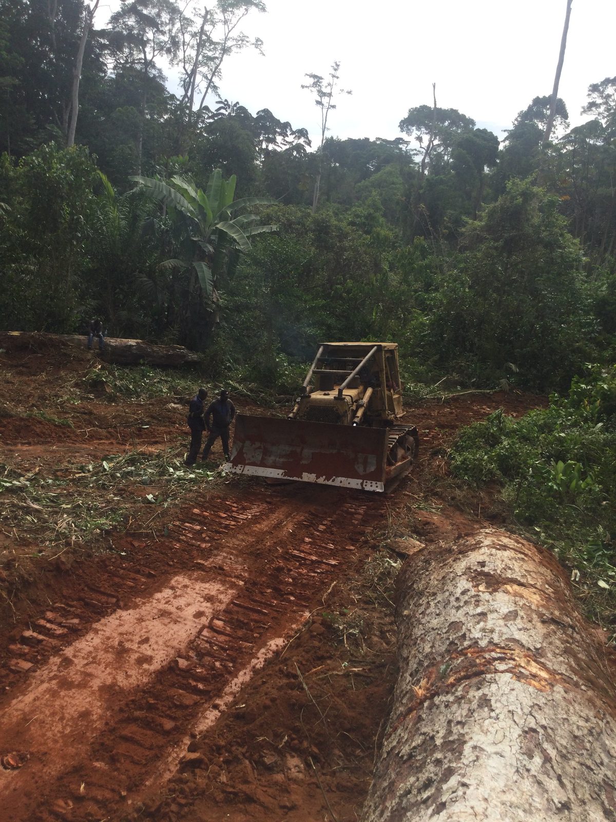 Accès terrain — placettes d'inventaire